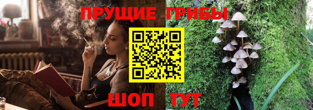 Галлюциногенные грибы прущие грибы Ейск
